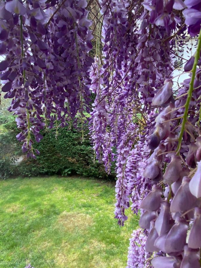 B&B Fior Di Toscana Serravalle Pistoiese Exteriör bild
