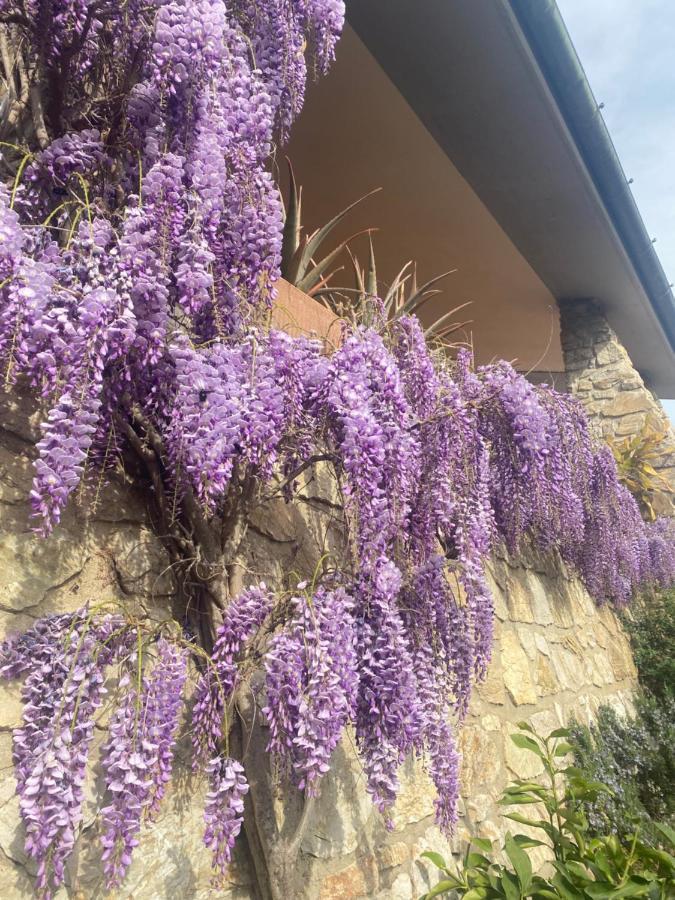 B&B Fior Di Toscana Serravalle Pistoiese Exteriör bild